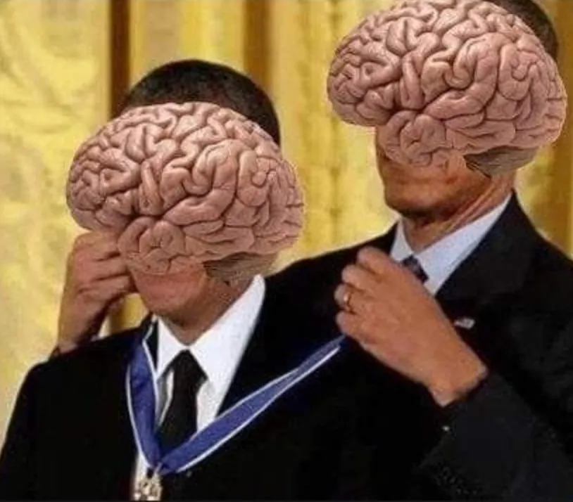 brain